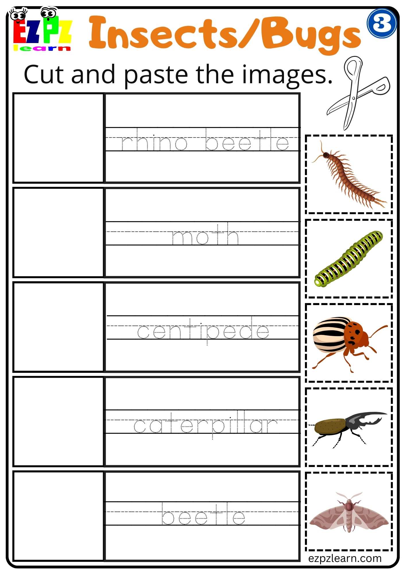 Group 3 Bugs and Insects Cut and Paste Worksheet PDF Download For